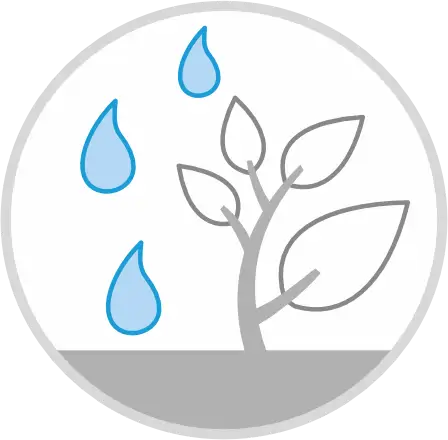 Irrigation