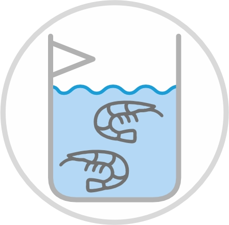 Aqua Culture