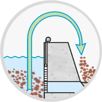 Intake Desilting